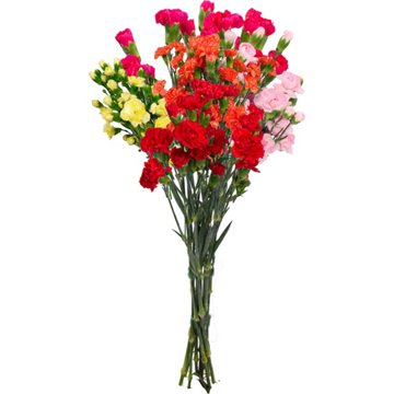 BLOOMS by H-E-B Rainbow Mini Carnations Bunch
