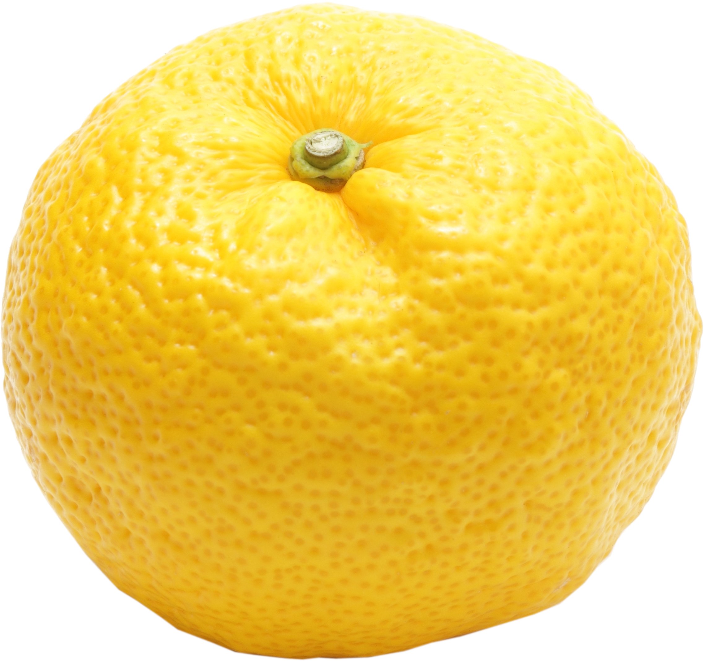 Yuzu Citrus | Central Market - Really Into Food