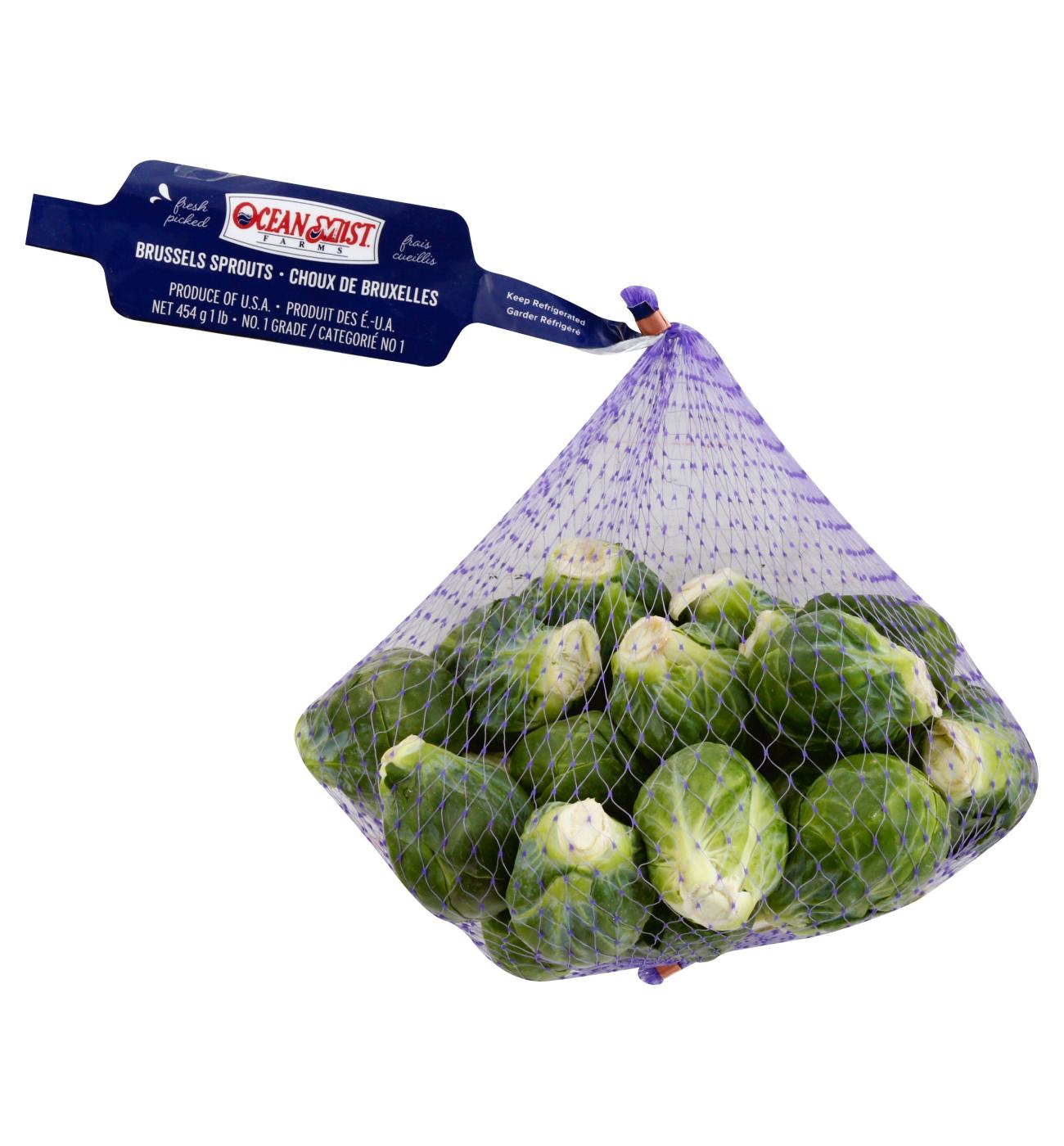 Fresh Brussels Sprouts; image 1 of 5