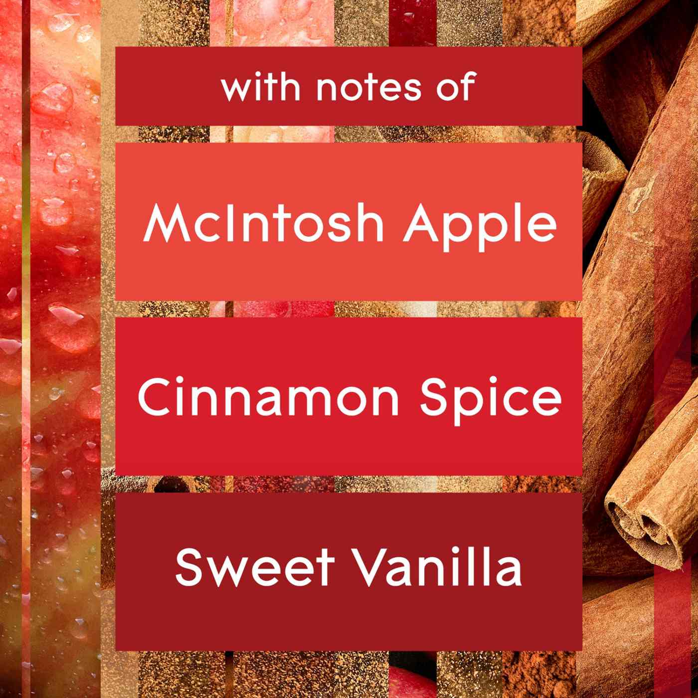 Glade PlugIns Scented Oil Air Freshener Refills - Apple Cinnamon; image 8 of 14