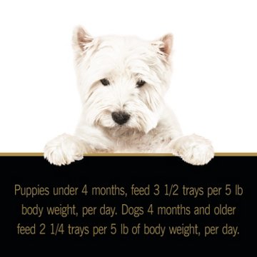 Cesar Puppy with Chicken & Beef in Meaty Juices Wet Dog Food