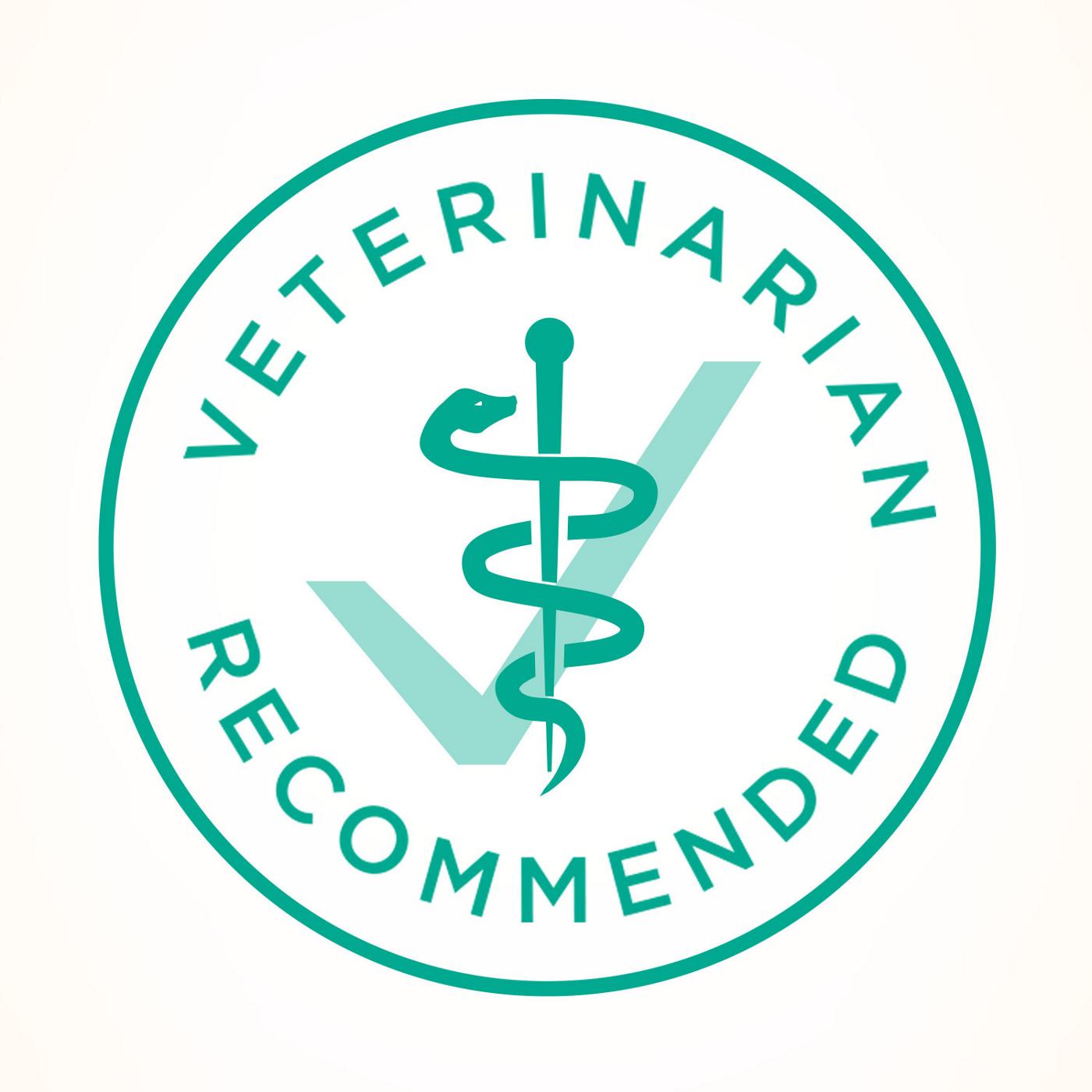 Purina ONE Sensitive Stomach Skin Natural Dry Cat Food, +Plus Sensitive Skin and Stomach Formula; image 2 of 7