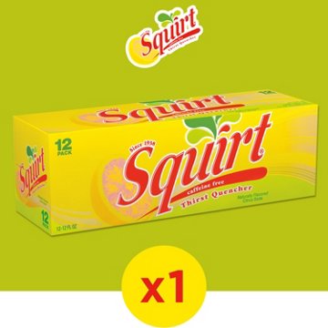 Squirt Citrus Grapefruit Soda 12 pk Cans