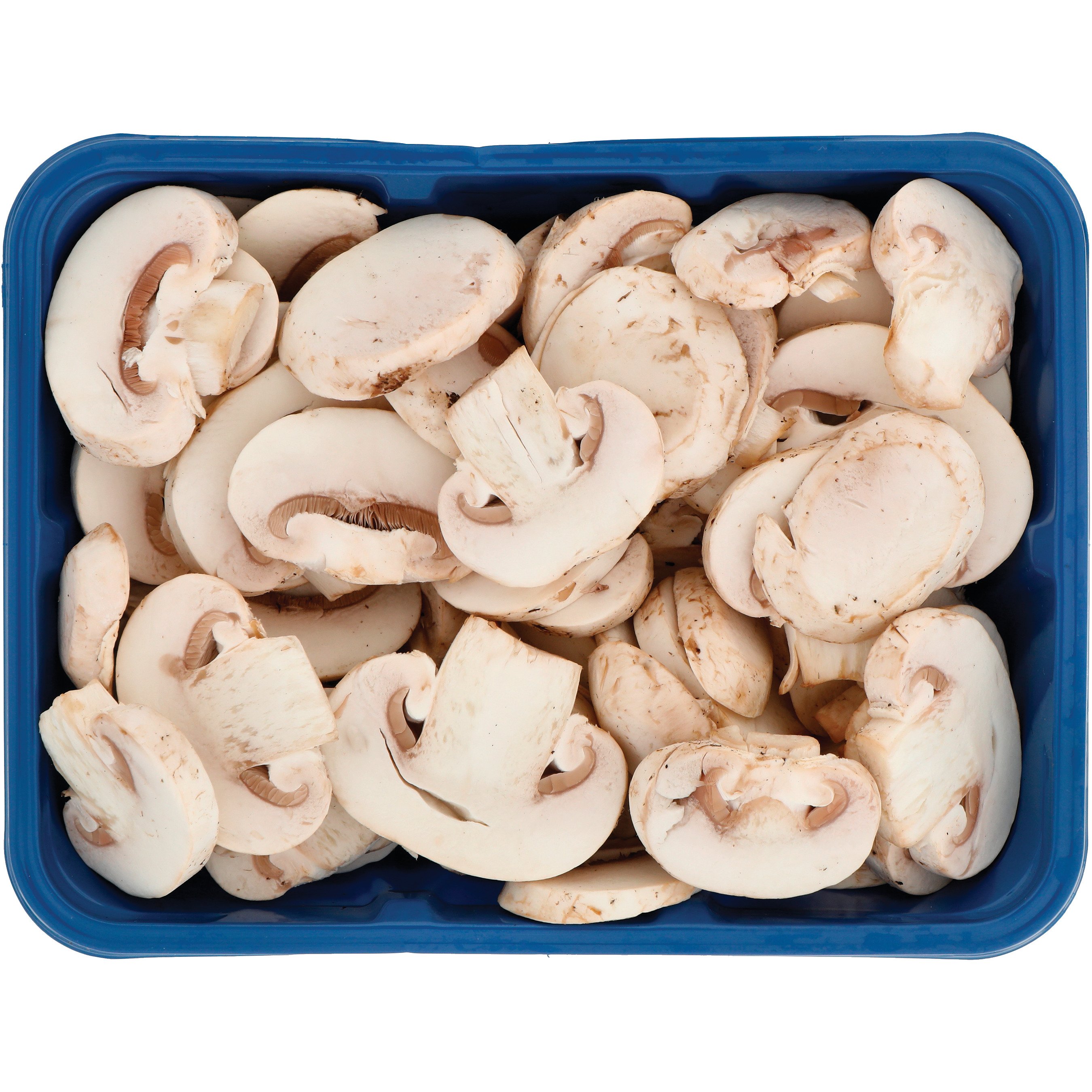 mushroom　0324 seshgear-mushroom-510-