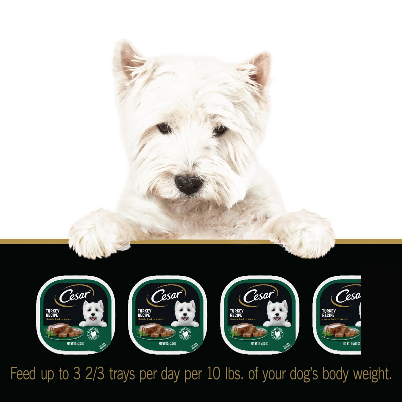 cesar-turkey-in-sauce-wet-dog-food-shop-food-at-h-e-b