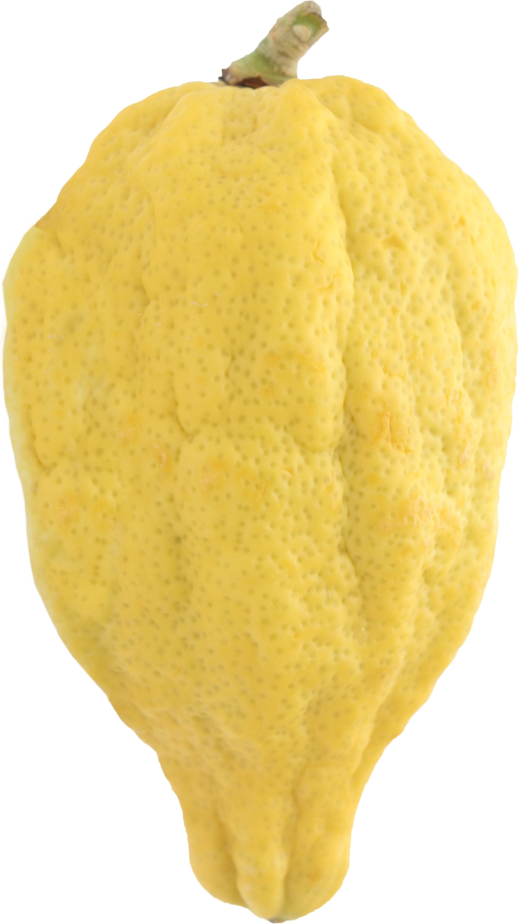 citron tint