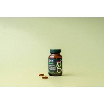 Gaia Herbs Echinacea Goldenseal Vegetarian Liquid Phyto-Caps