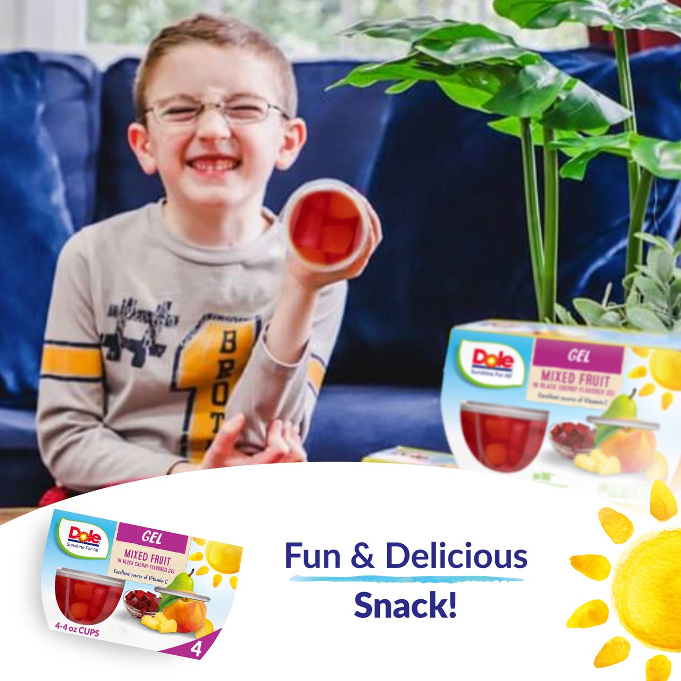 Dole Fruit Bowls Mixed Fruit in Black Cherry Flavored Gel Shop