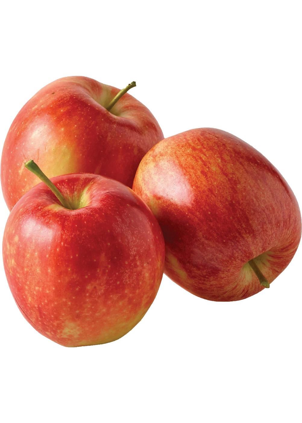 Fresh Small Gala Apples; image 1 of 4