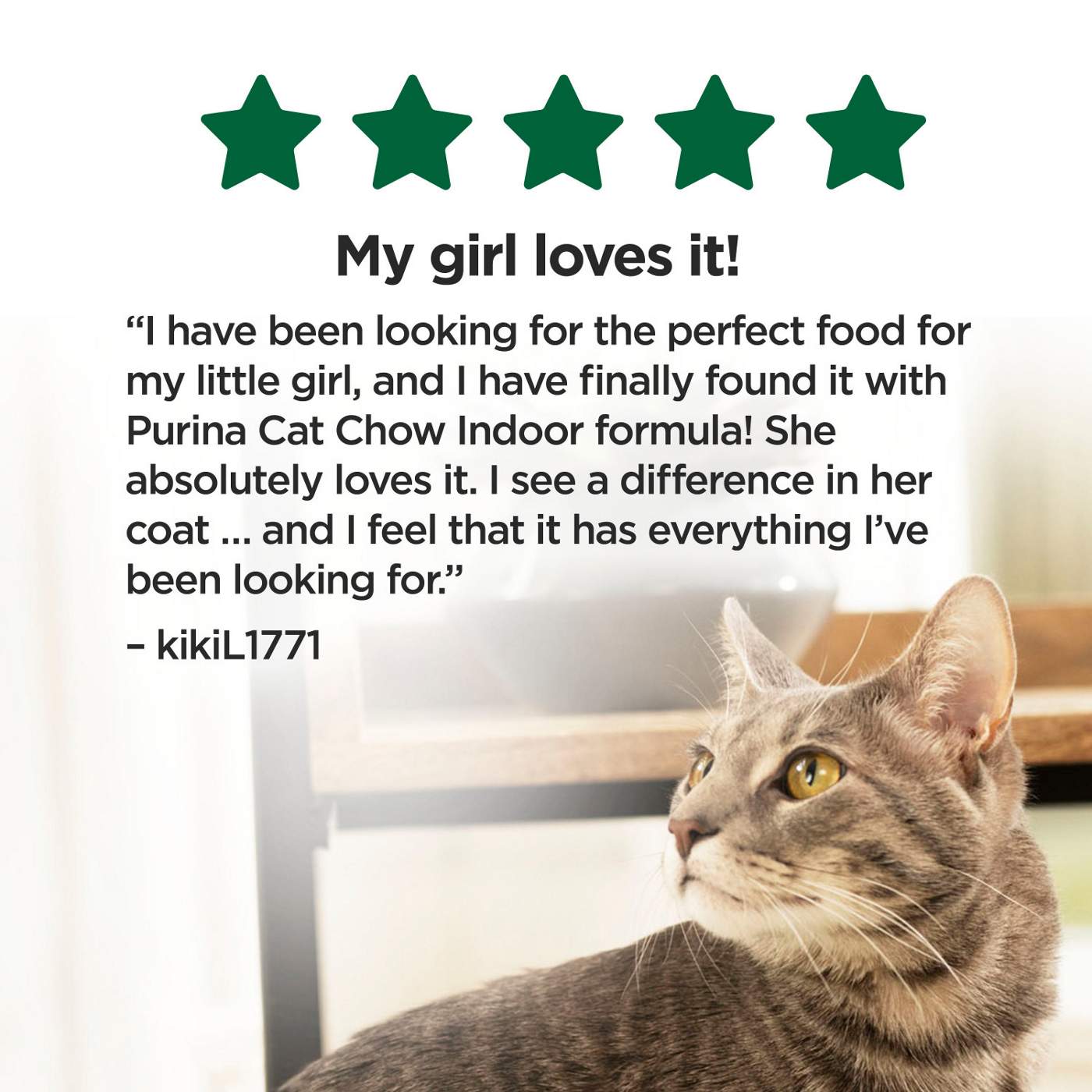 Cat Chow Purina Indoor Healthy Weight and Hairball Dry Cat Food - Chicken; image 6 of 8