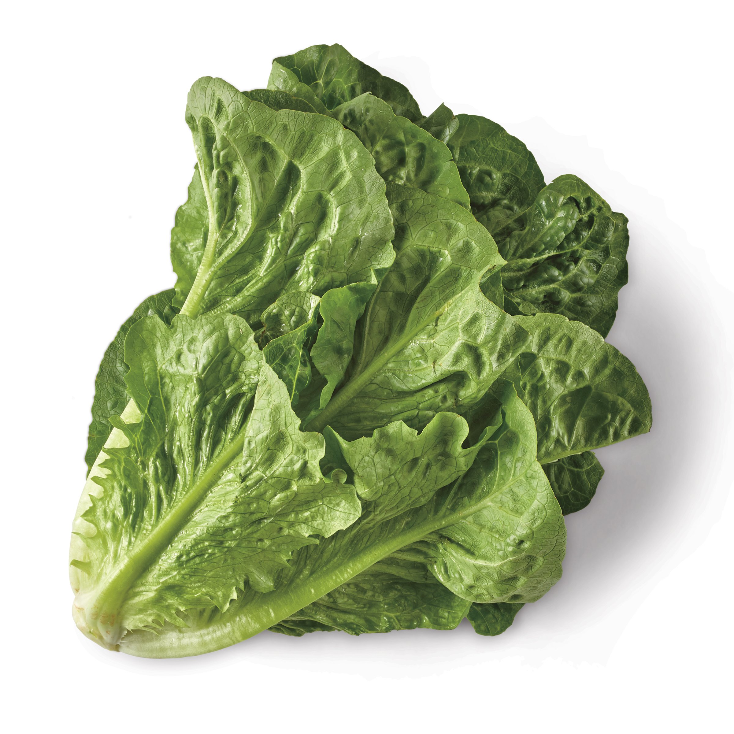 fresh-romaine-lettuce-shop-lettuce-leafy-greens-at-h-e-b