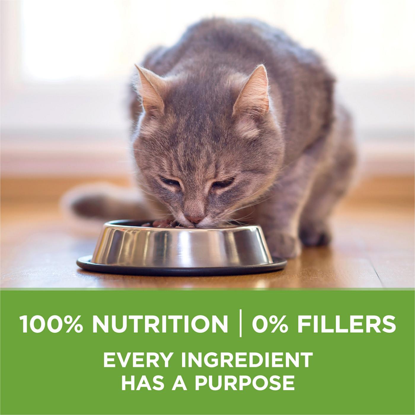 Purina ONE Purina ONE Natural, Low Fat, Weight Control, Indoor Dry Cat Food, +Plus Indoor Advantage; image 3 of 7