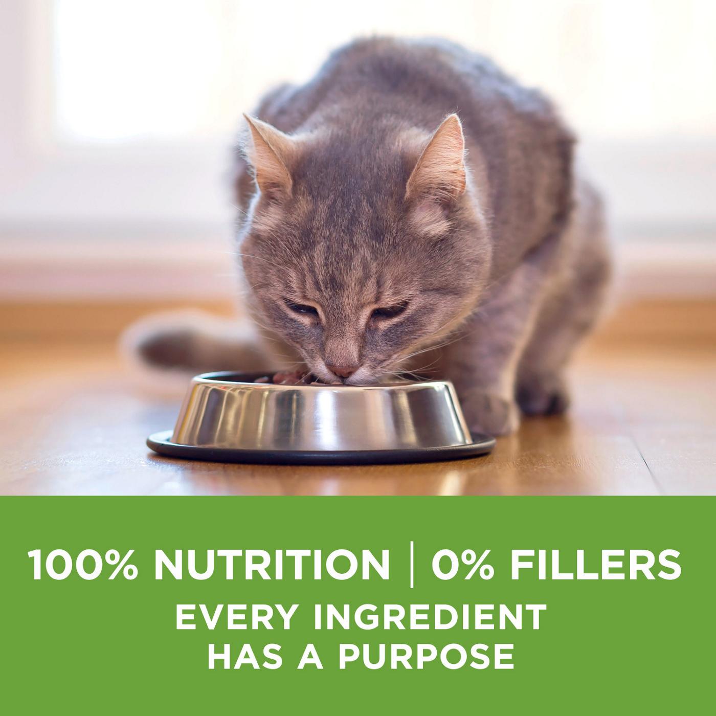 Purina ONE Purina ONE Natural, Low Fat, Weight Control, Indoor Dry Cat Food, +Plus Indoor Advantage; image 4 of 7