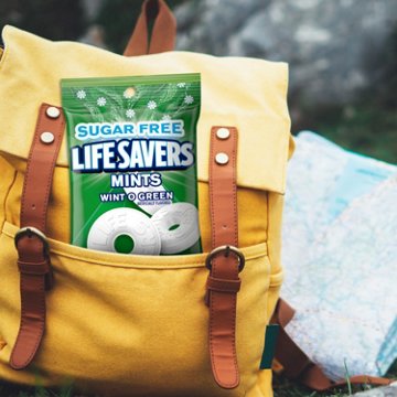 Life Savers Sugar Free Wint O Green Breath Mints, 2.75 oz