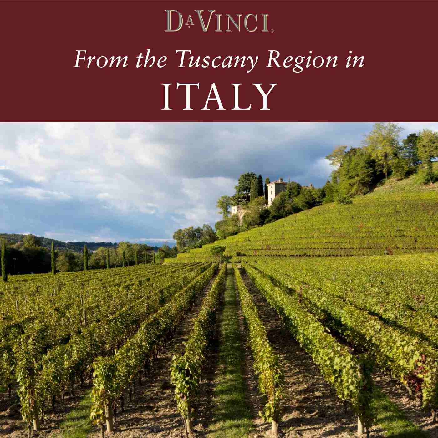 DaVinci Chianti Italian Red Wine; image 4 of 6