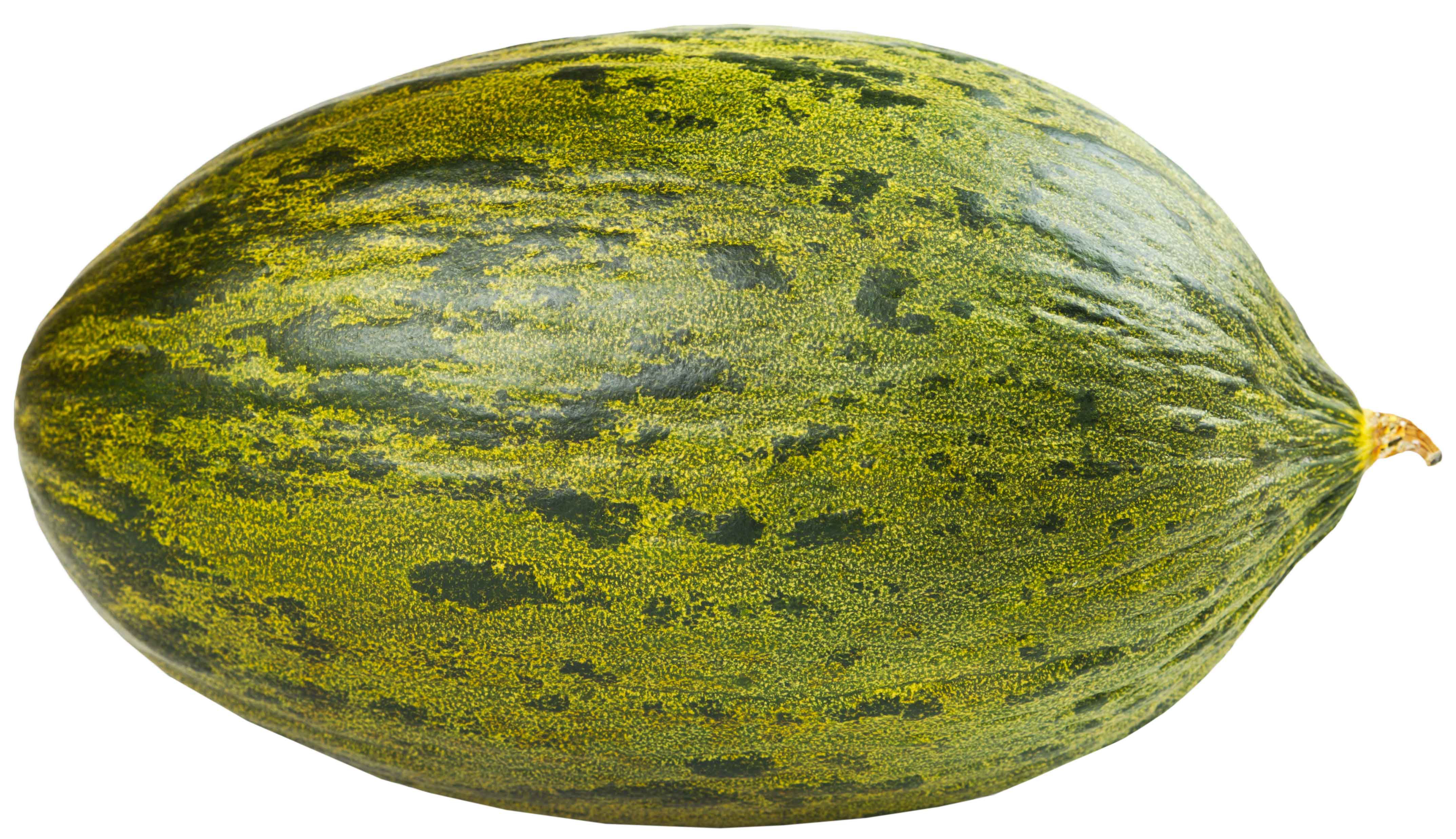 Fresh Santa Claus Melon Shop Fruit at HEB
