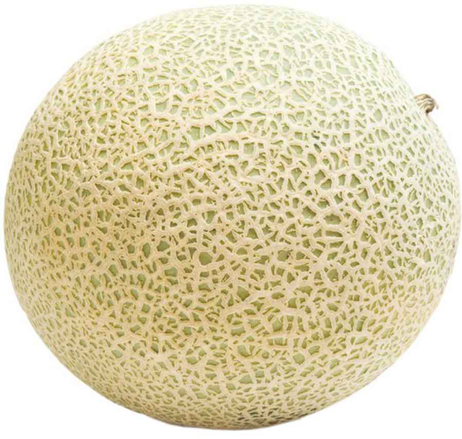 Fresh Summer Kiss Melon, whole | Joe V's Smart Shop | Low Prices