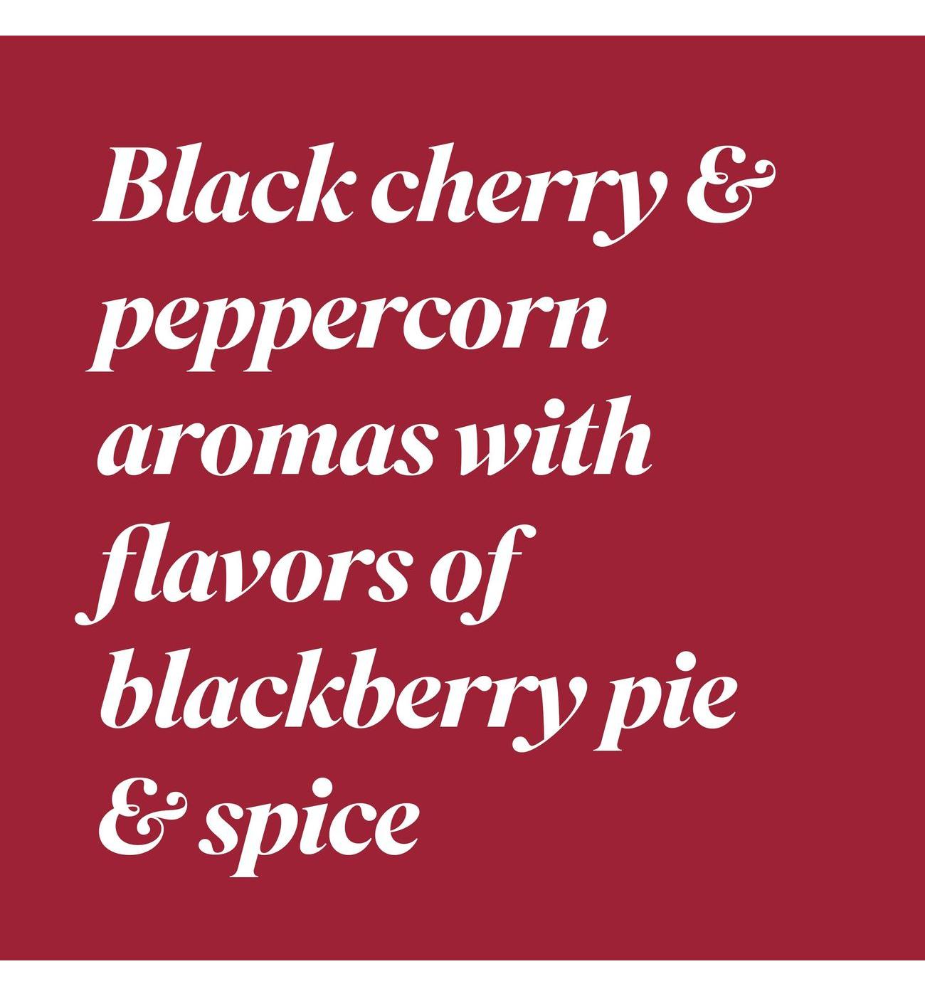 Bota Box Cabernet Sauvignon California Box Red Wine; image 2 of 9