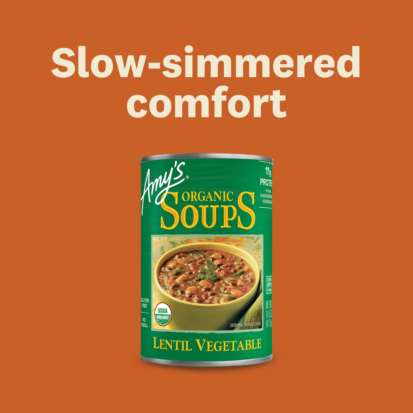 Amy's Organic Lentil Vegetable Soup; image 2 of 12