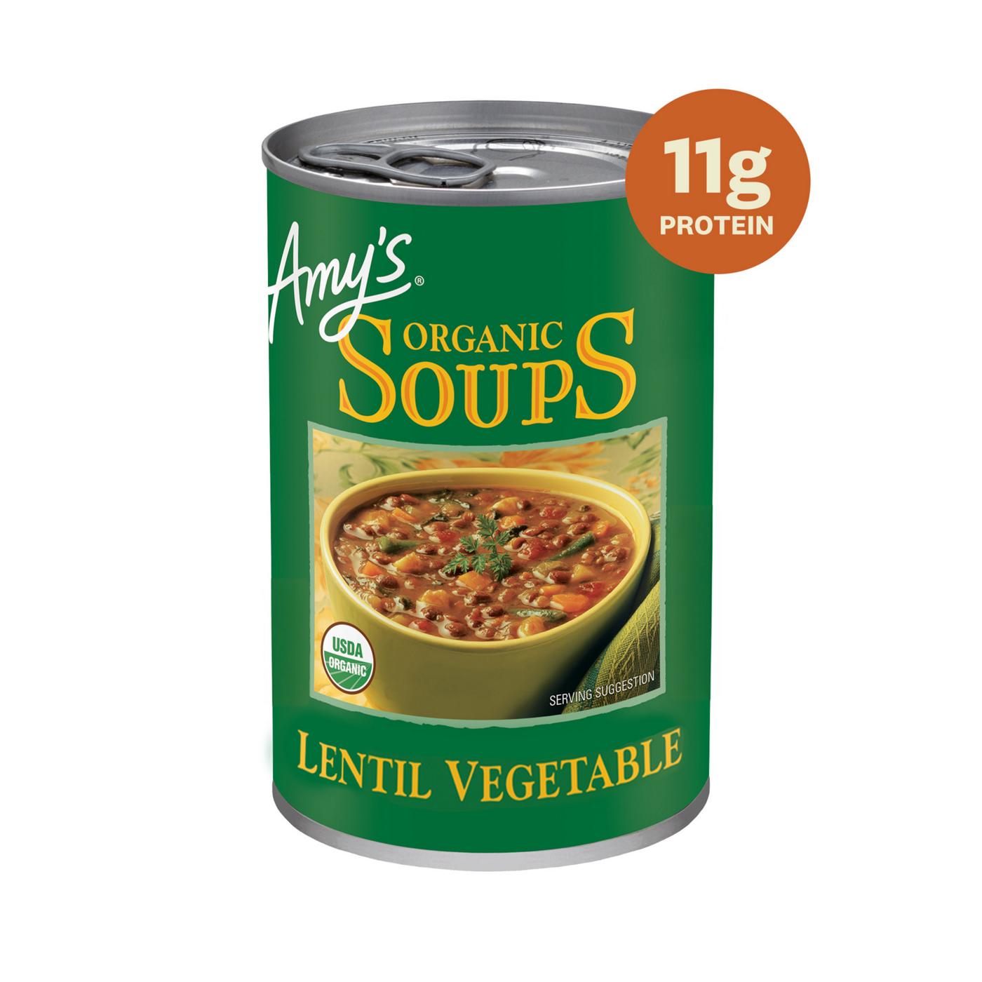 Amy's Organic Lentil Vegetable Soup; image 6 of 12