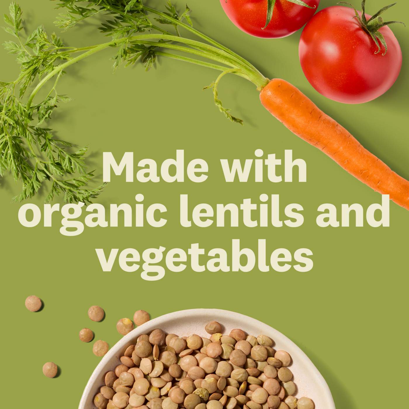 Amy's Organic Lentil Vegetable Soup; image 10 of 12