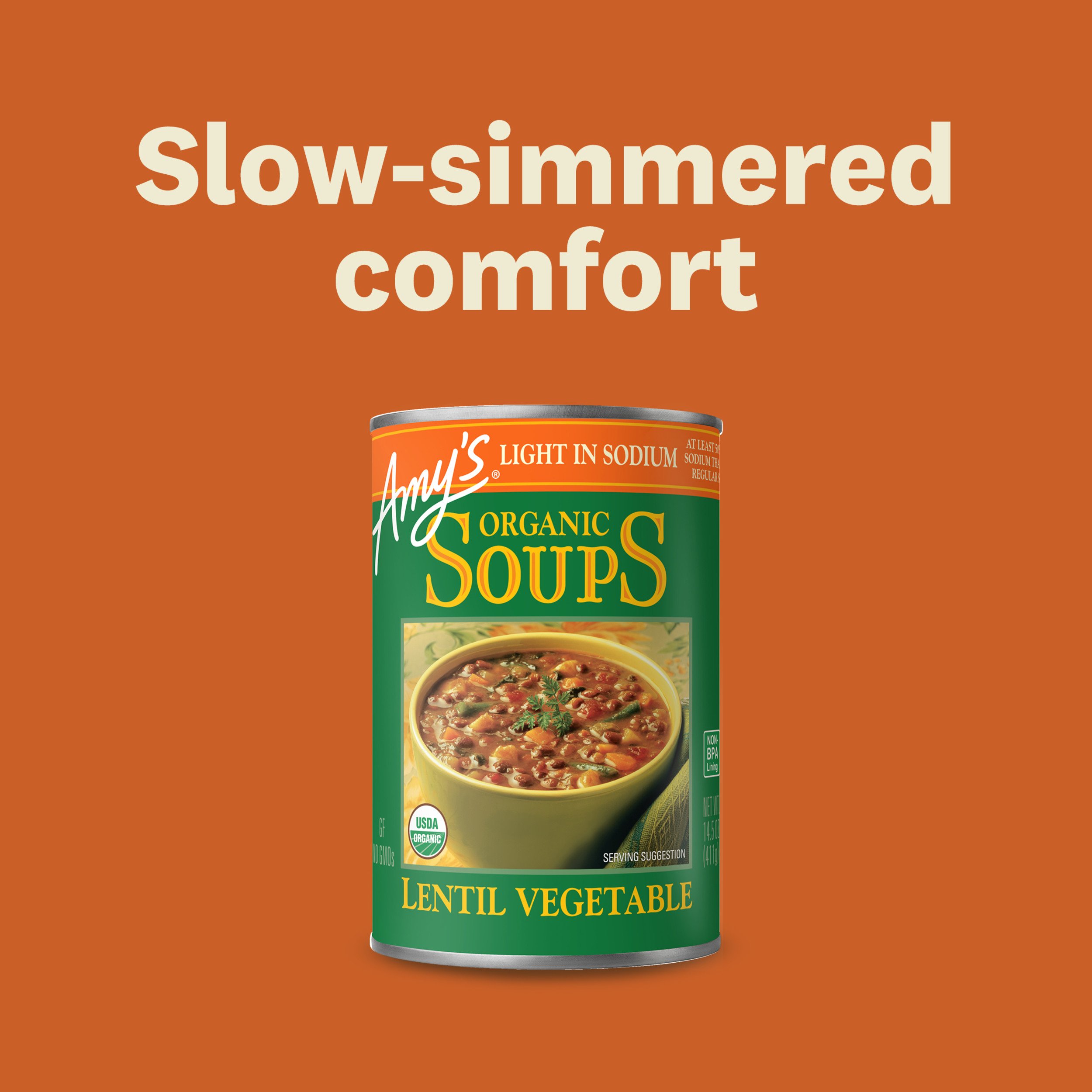 Amy's Organic Light in Sodium Lentil Vegetable Soup - Shop Soups
