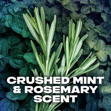AXE Phoenix Body Wash - Crushed Mint & Rosemary