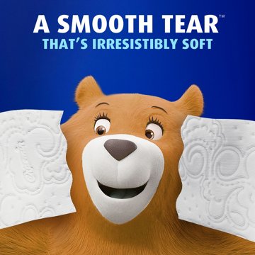 Charmin Toilet Paper Ultra Soft, 2-ply Bath Tissue, 6 Mega Rolls