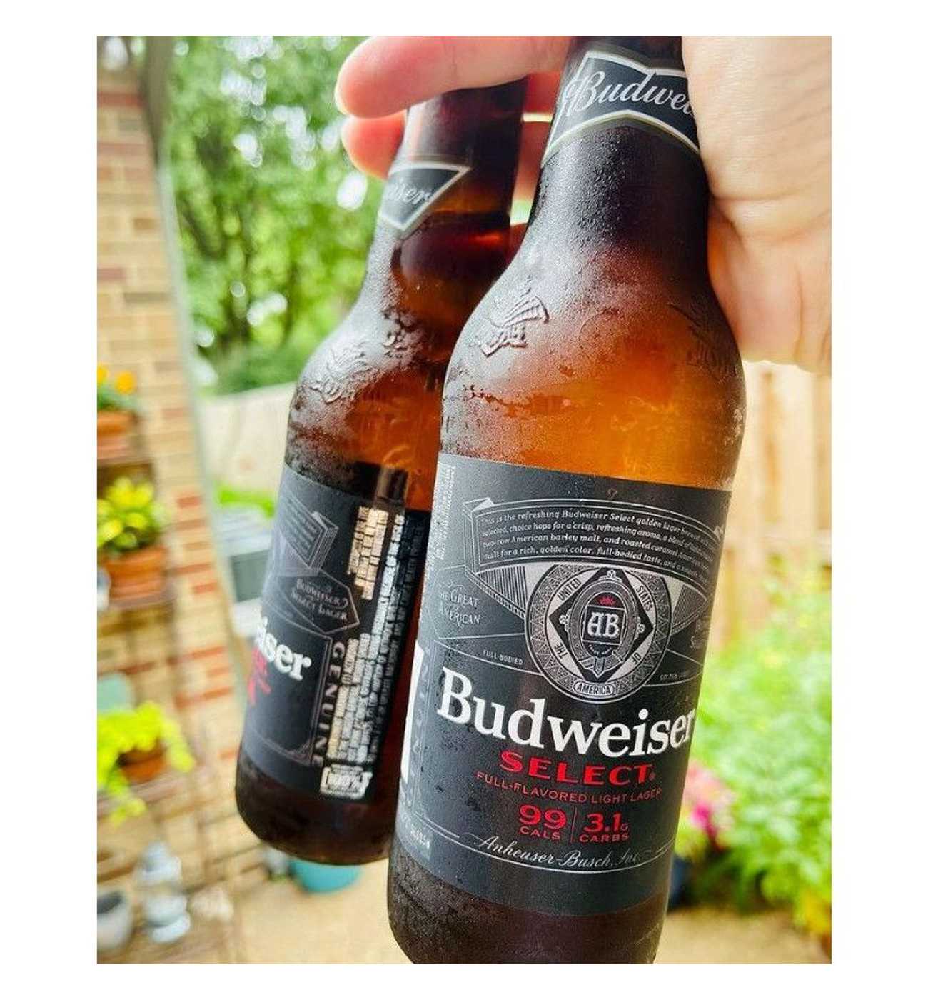 Budweiser Select Light Lager Beer 6 pk Bottles; image 7 of 8