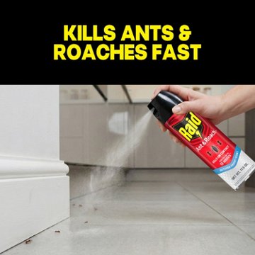 Raid Ant & Roach Killer 26 - Outdoor Fresh, 2 Pk, 35 oz