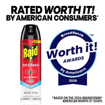 Raid Ant & Roach Killer 26 - Outdoor Fresh, 2 Pk, 35 oz