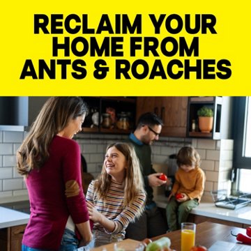 Raid Ant & Roach Killer 26 - Outdoor Fresh, 2 Pk, 35 oz