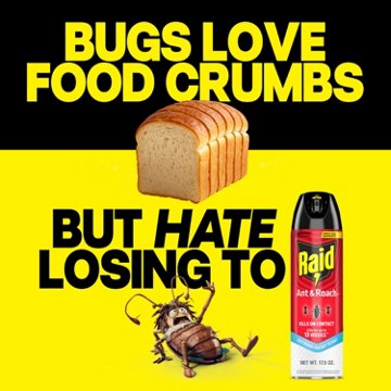 Raid Ant & Roach Killer 26 - Outdoor Fresh, 2 Pk, 35 oz
