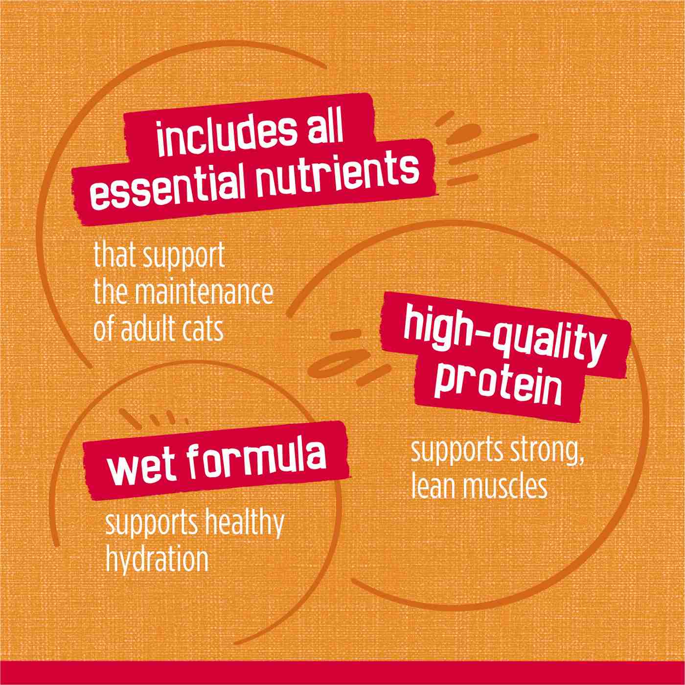 Friskies Purina Prime Filets Wet Cat Food - Chicken in Gravy; image 6 of 9