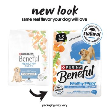 Beneful Purina Healthy Natural High Protein Puppy Food Dry Formula - Farm-Raised Chicken