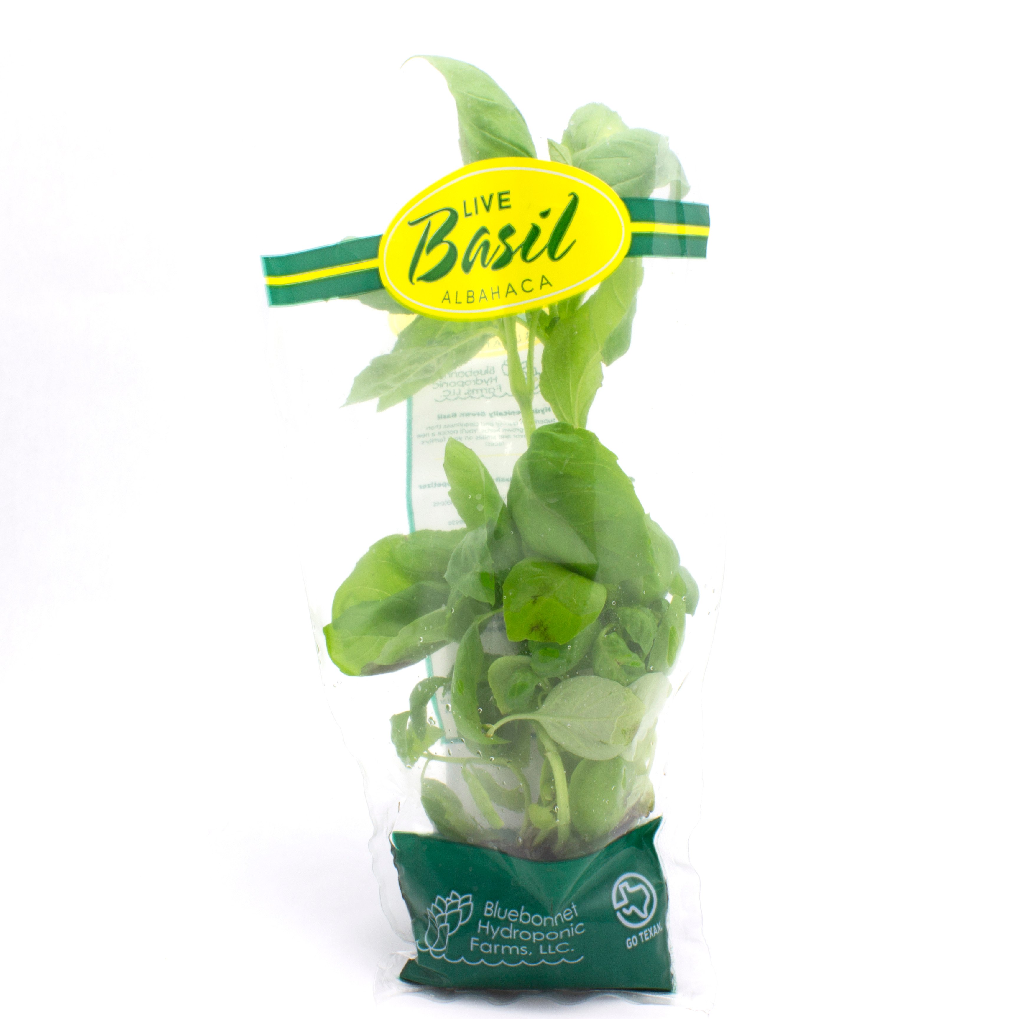 Fresh Texas Living Basil Shop Vegetables at HEB