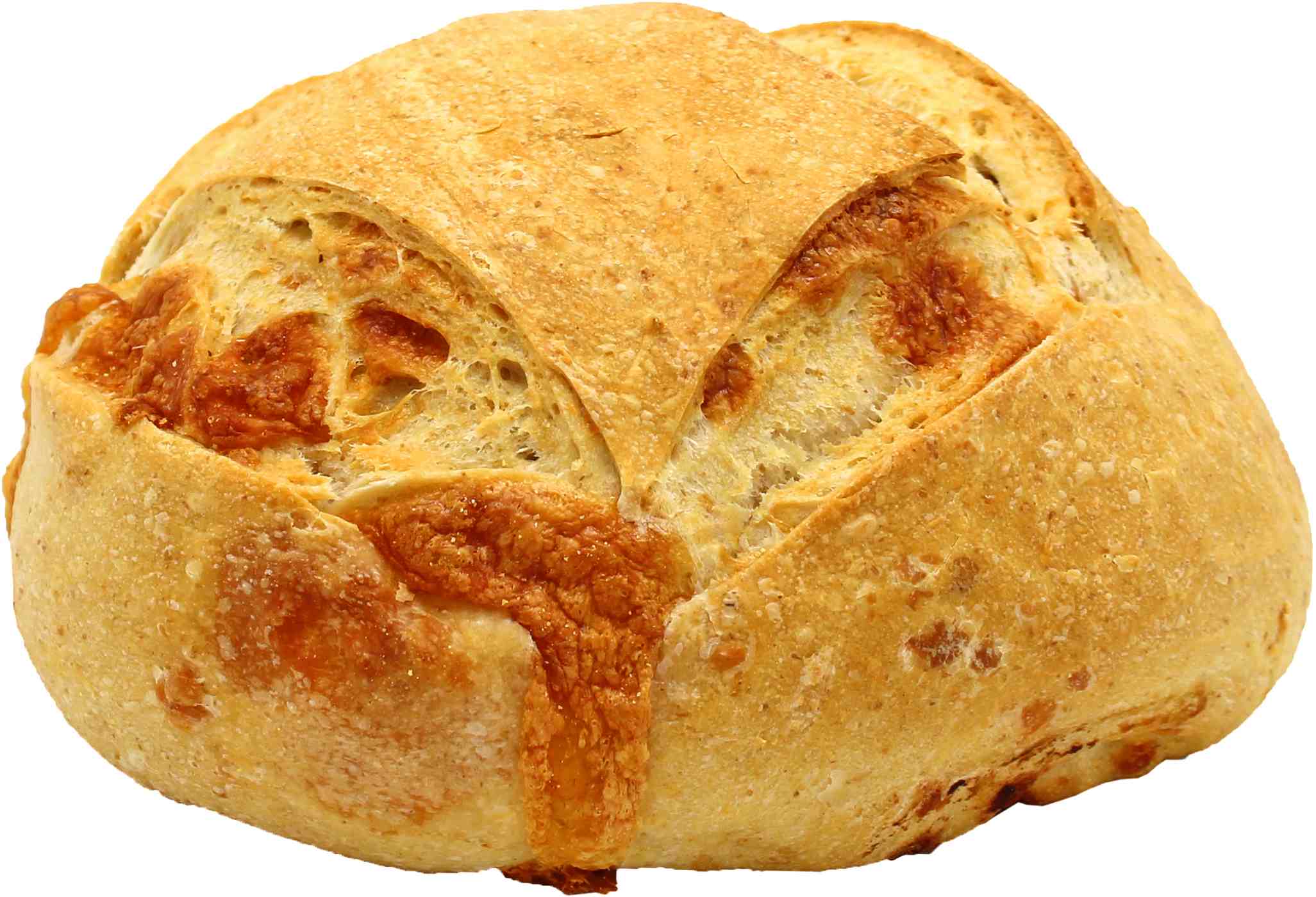 Central Market Roasted Garlic & Monterey Jack Bread - Shop Loaves at H-E-B