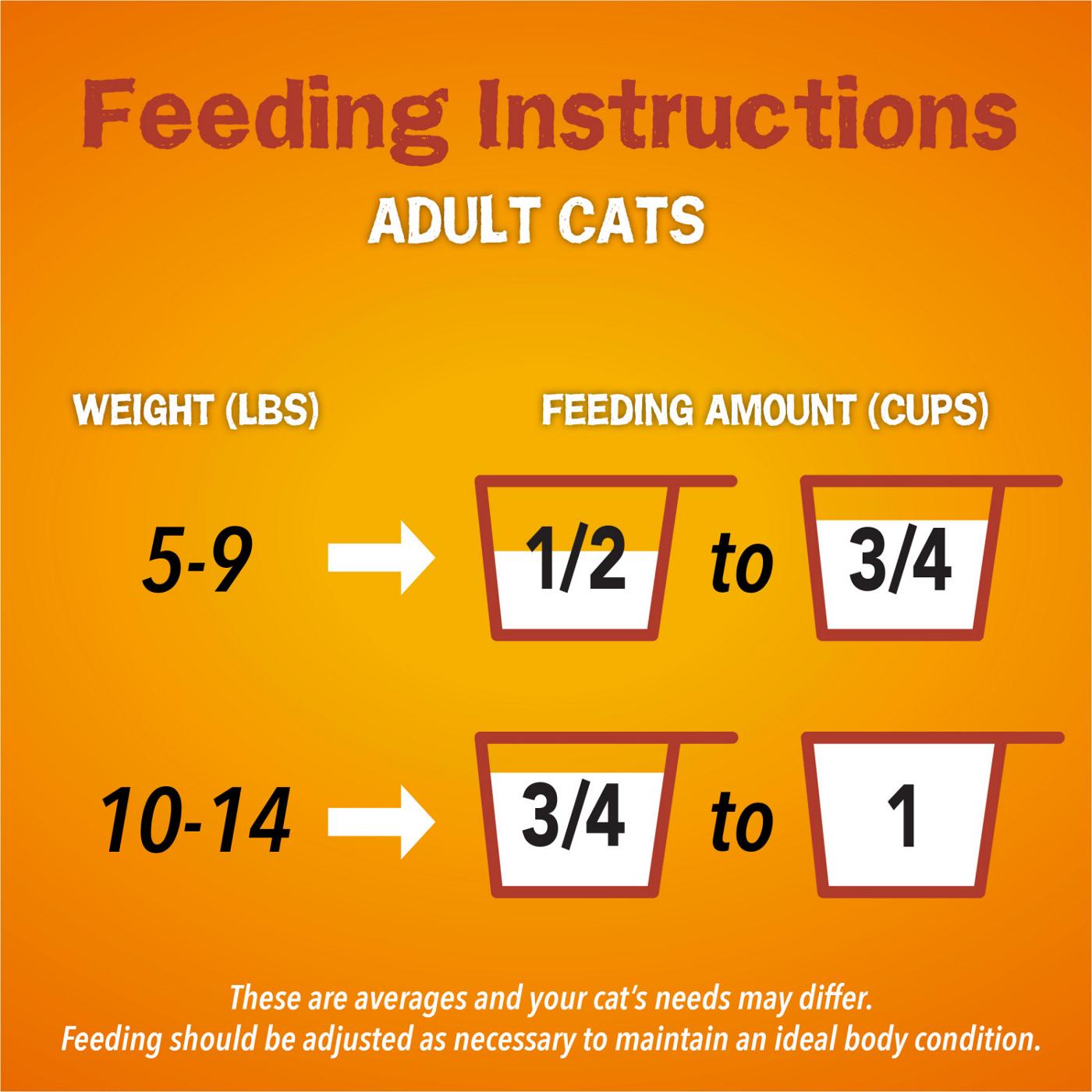 Friskies Purina Friskies Dry Cat Food, Tender & Crunchy Combo; image 6 of 10