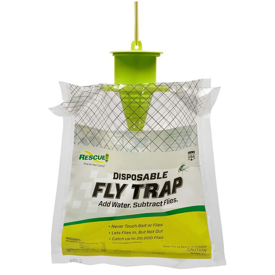 fly trap ingredients