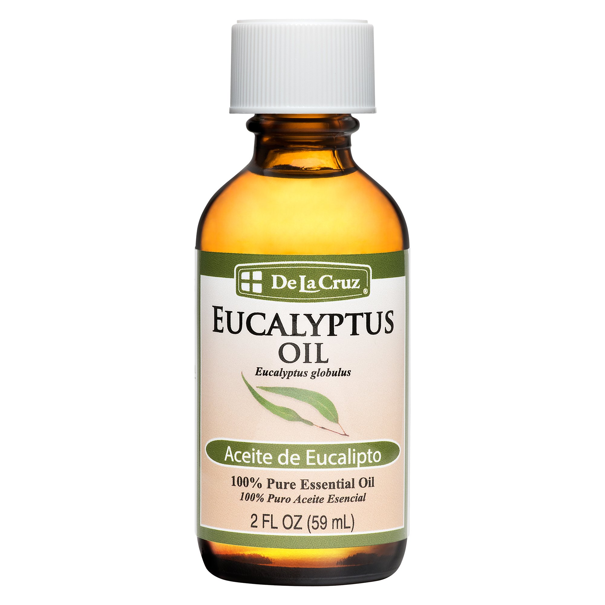 Eucalyptus Oil