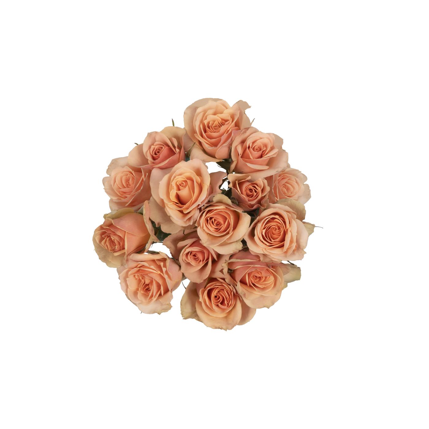 BLOOMS by H-E-B 3 Stems Spray Roses - Assorted Colors; image 9 of 15