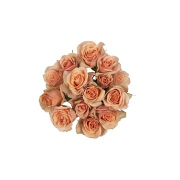 BLOOMS by H-E-B 3 Stems Spray Roses - Assorted Colors