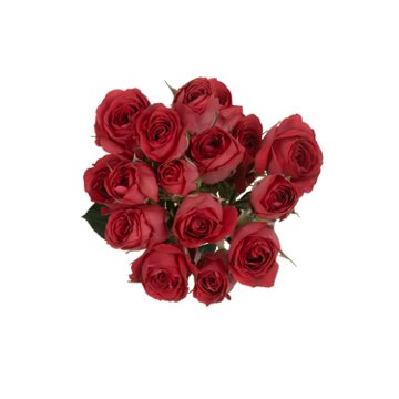BLOOMS by H-E-B 3 Stems Spray Roses - Assorted Colors