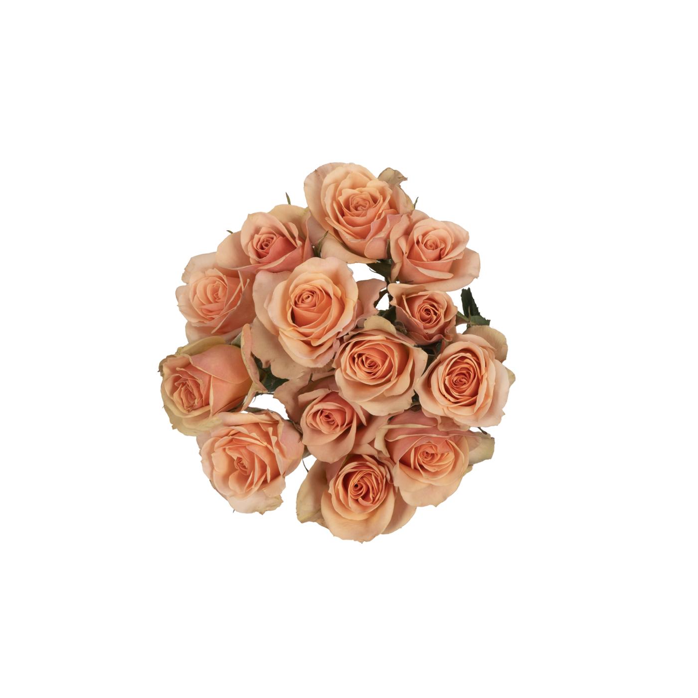BLOOMS by H-E-B 3 Stems Spray Roses - Assorted Colors; image 11 of 15