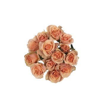 BLOOMS by H-E-B 3 Stems Spray Roses - Assorted Colors