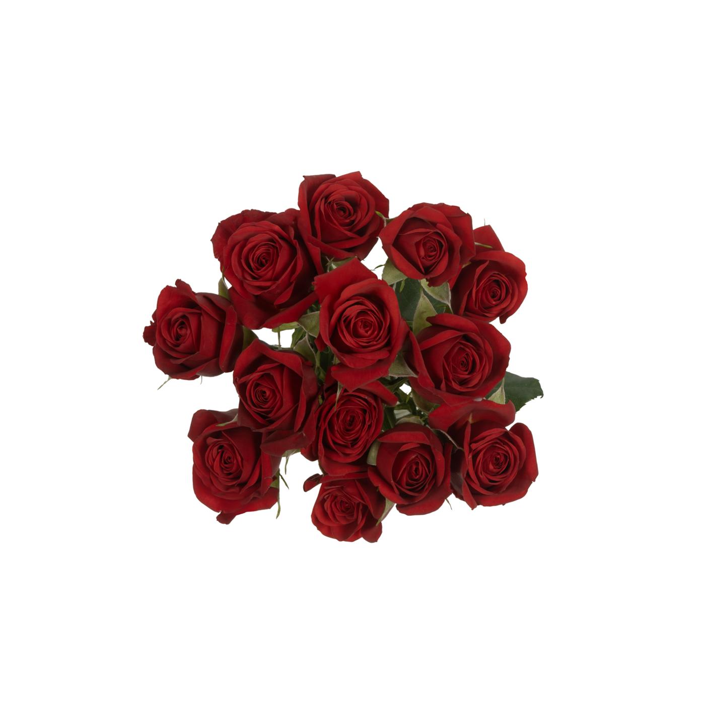 BLOOMS by H-E-B 3 Stems Spray Roses - Assorted Colors; image 12 of 15
