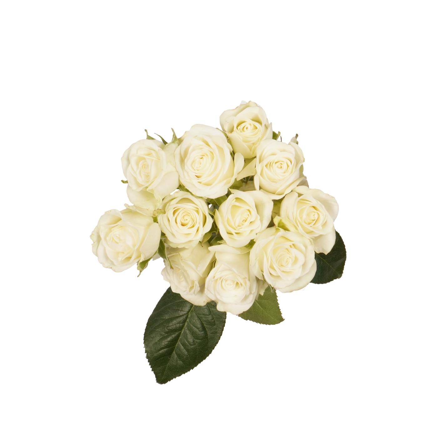 BLOOMS by H-E-B 3 Stems Spray Roses - Assorted Colors; image 15 of 15