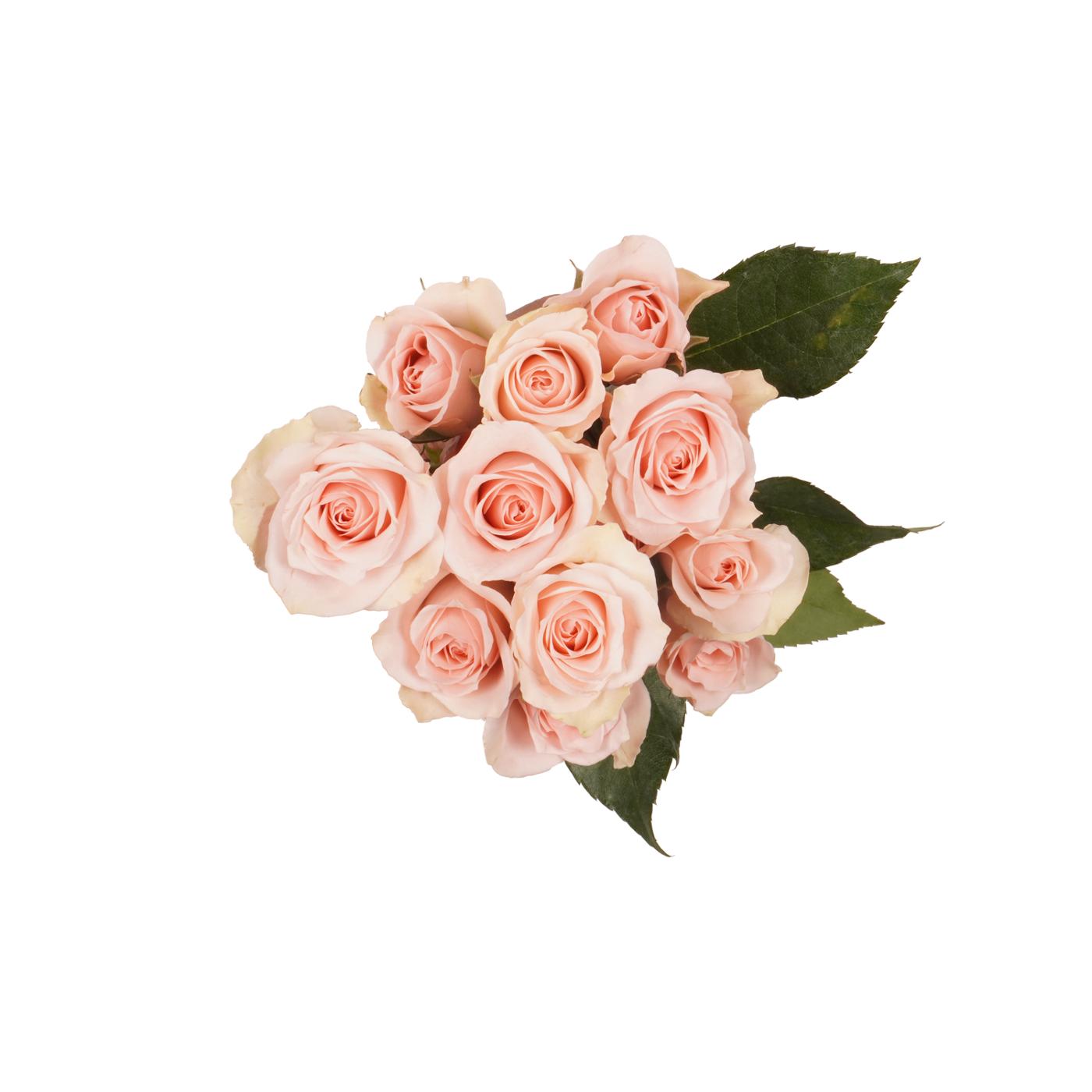 BLOOMS by H-E-B 3 Stems Spray Roses - Assorted Colors; image 1 of 15