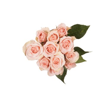 BLOOMS by H-E-B 3 Stems Spray Roses - Assorted Colors