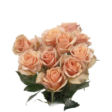 BLOOMS by H-E-B 3 Stems Spray Roses - Assorted Colors